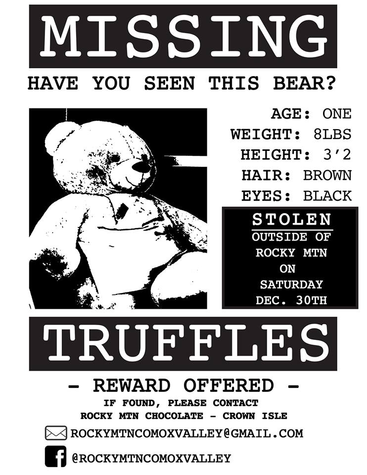 Missing-Bear-Poster.jpg